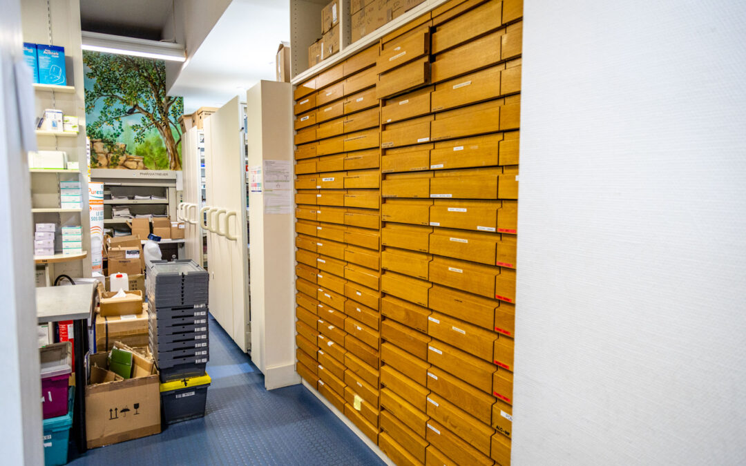 Arrêt du tabac à Luxembourg : les méthodes naturelles pour réussir sans stress