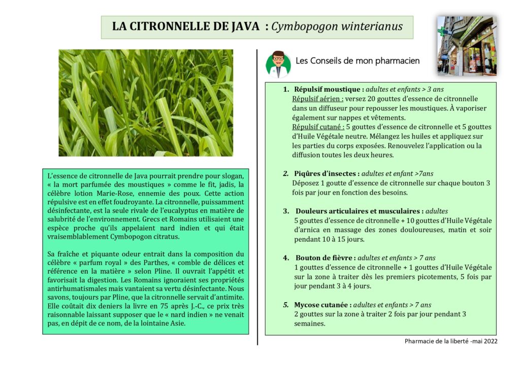 Citronnelle de Java